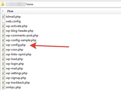Что хранится в файле wp-config.php