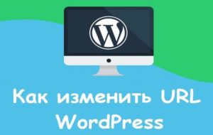 Как узнать в WordPress URL сайта